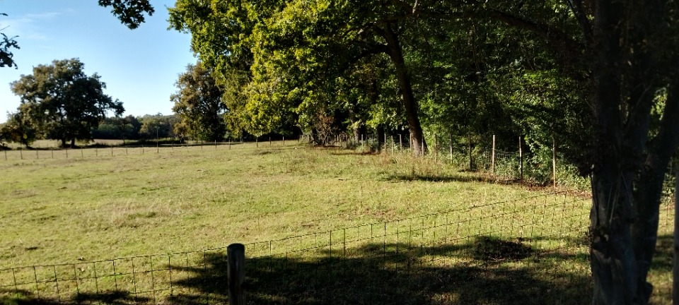 Image du terrain Terrain à bâtir à Margaux (33460)