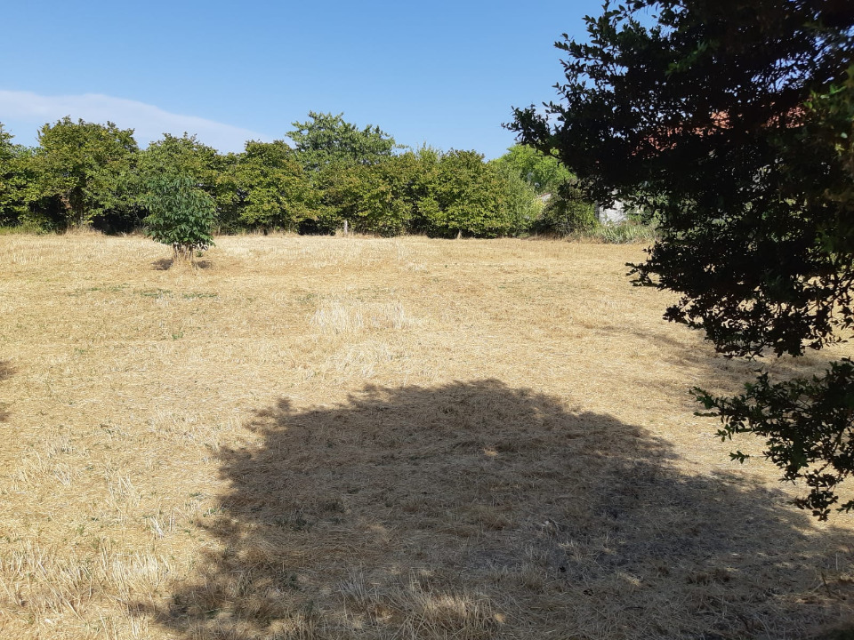 Image du modèle de maison 2144979-1046annonce120240930z9pEt.jpeg