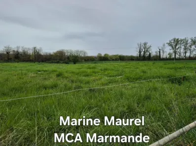 Image du modèle de maison 2145352-11161annonce120250430XAeT1.jpeg
