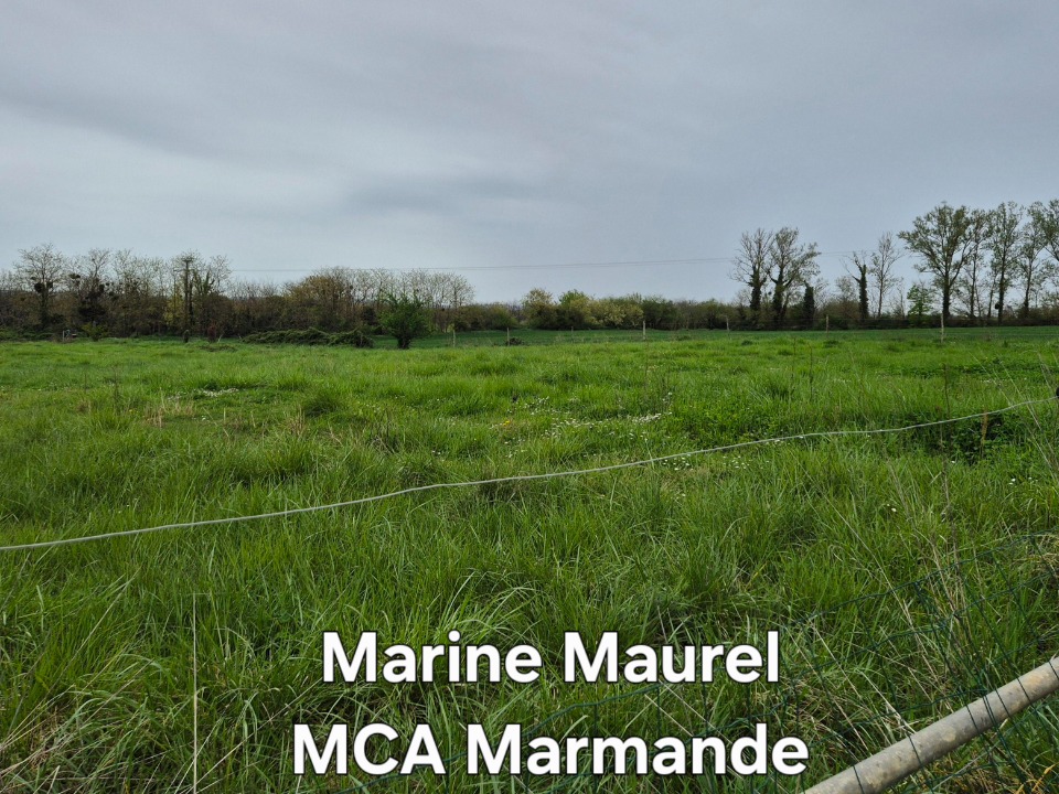 Image du modèle de maison 2145353-11161annonce120250430XAeT1.jpeg
