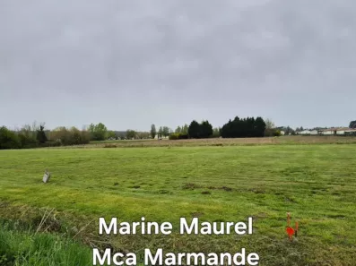 Image du modèle de maison 2145403-11161annonce1202504301oXNC.jpeg