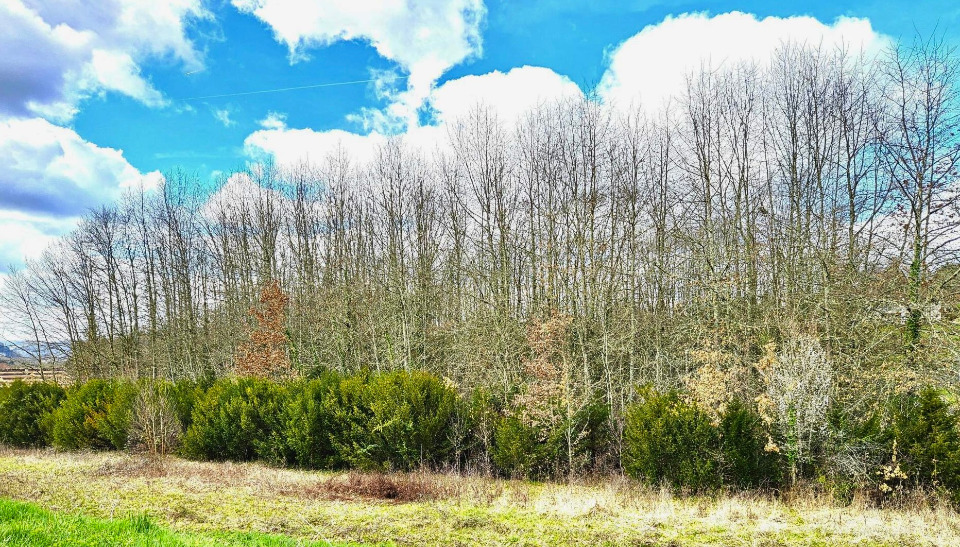 Image du terrain Terrain à bâtir à Peyrillac-et-Millac (24370)