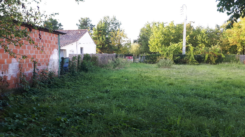 Image du modèle de maison 2146319-11151annonce120250210OkVSF.jpeg