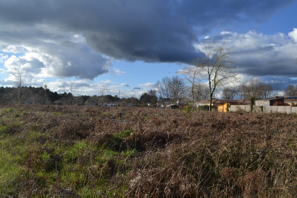 Image du terrain Terrain à bâtir à Salles (33770)