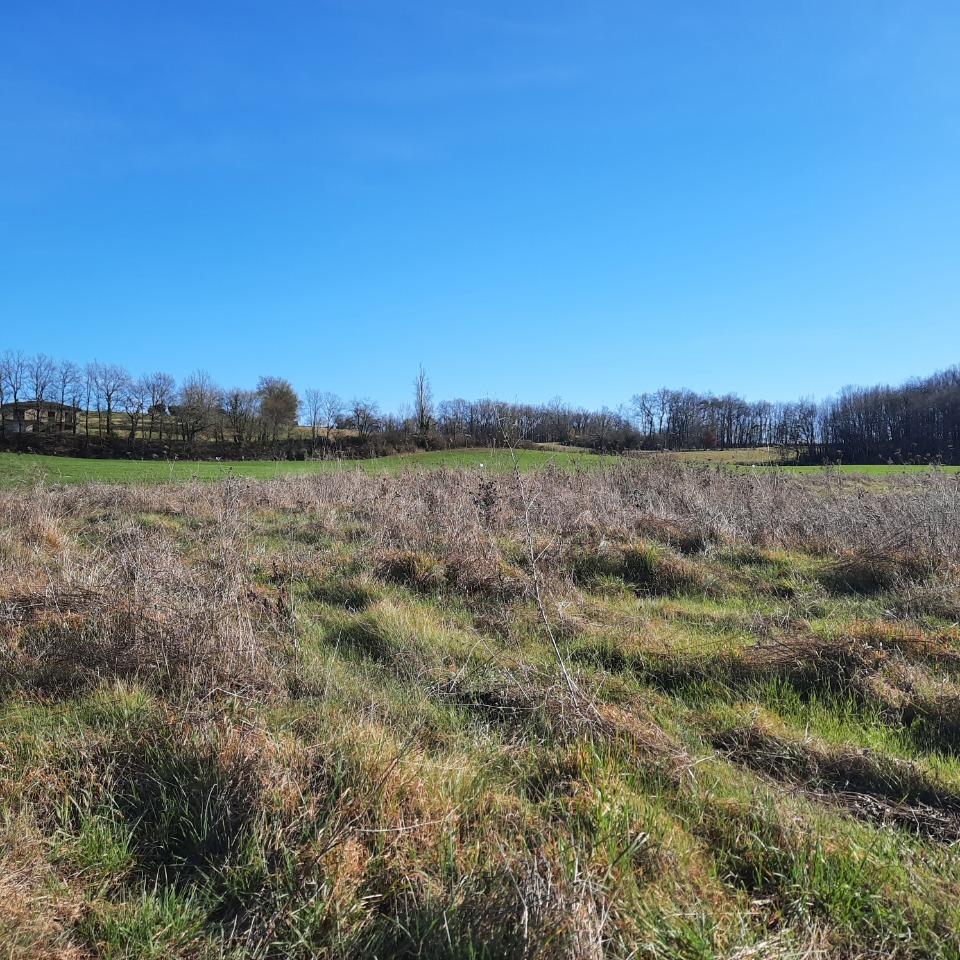 Image du terrain Terrain à bâtir à Saint-Jean-de-Duras (47120)