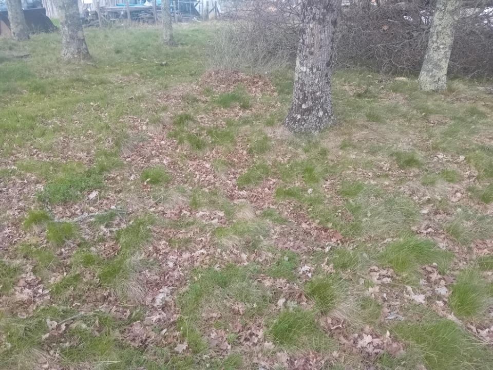 Image du modèle de maison 2149650-11244annonce220250506qIHzA.jpeg