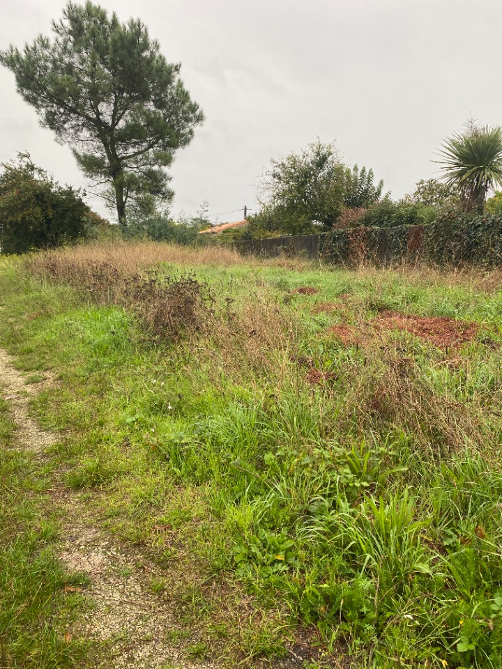 Image du modèle de maison 2149974-11016annonce120250130JDZVO.jpeg