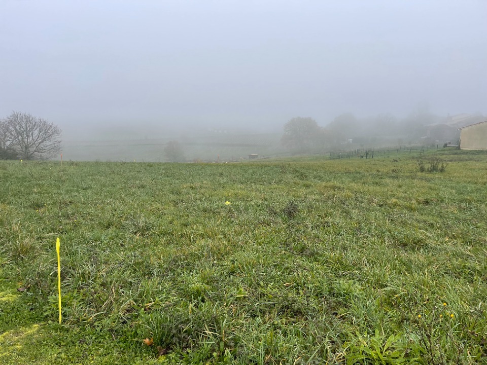 Image du terrain Terrain à bâtir à Saint-André-du-Bois (33490)