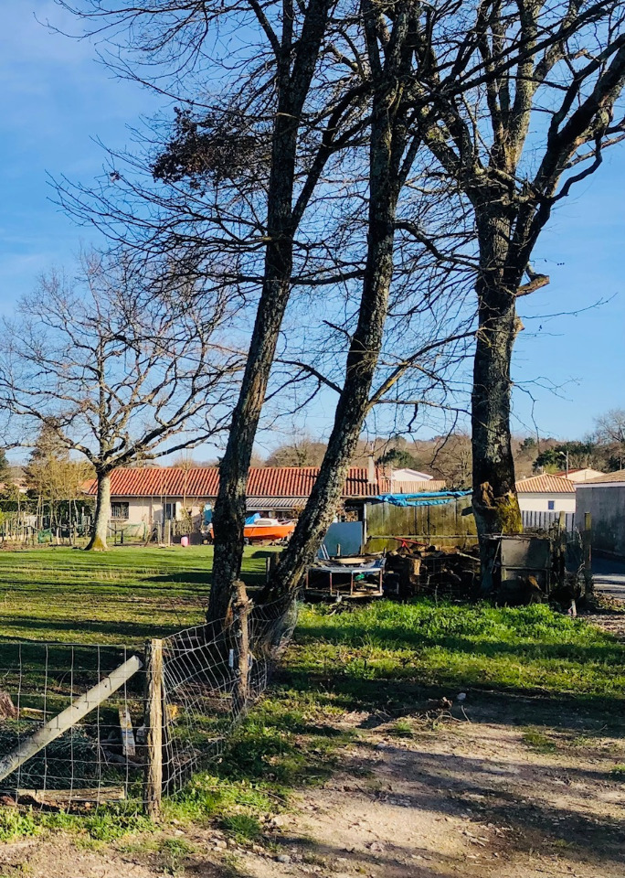 Image du terrain Terrain à bâtir à Lesparre-Médoc (33340)