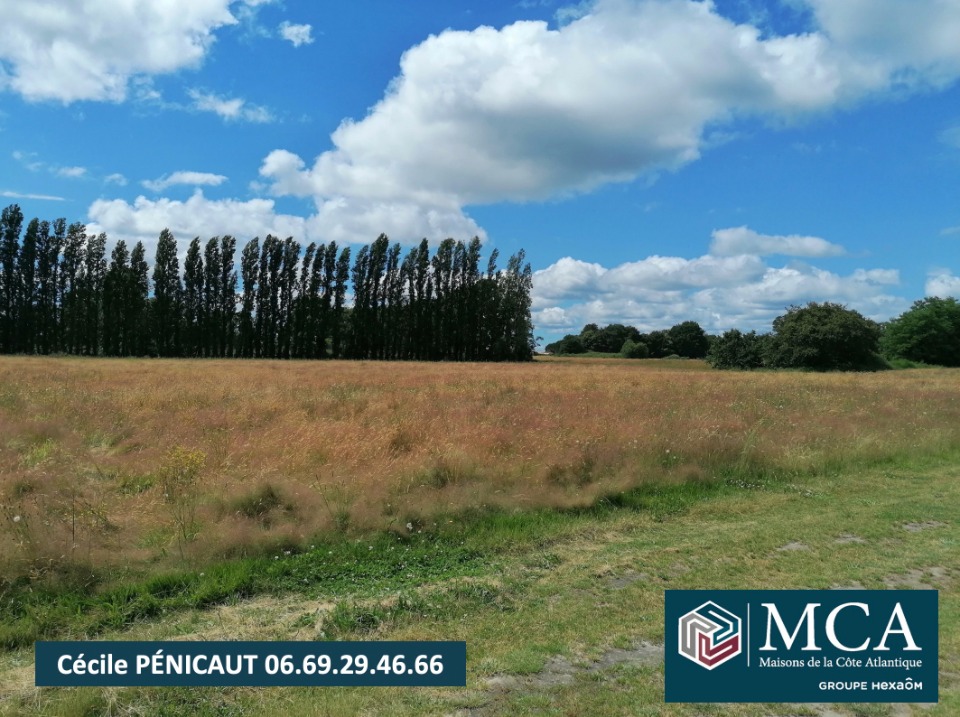 Image du modèle de maison 2153261-5828annonce1202503146kmsD.jpeg