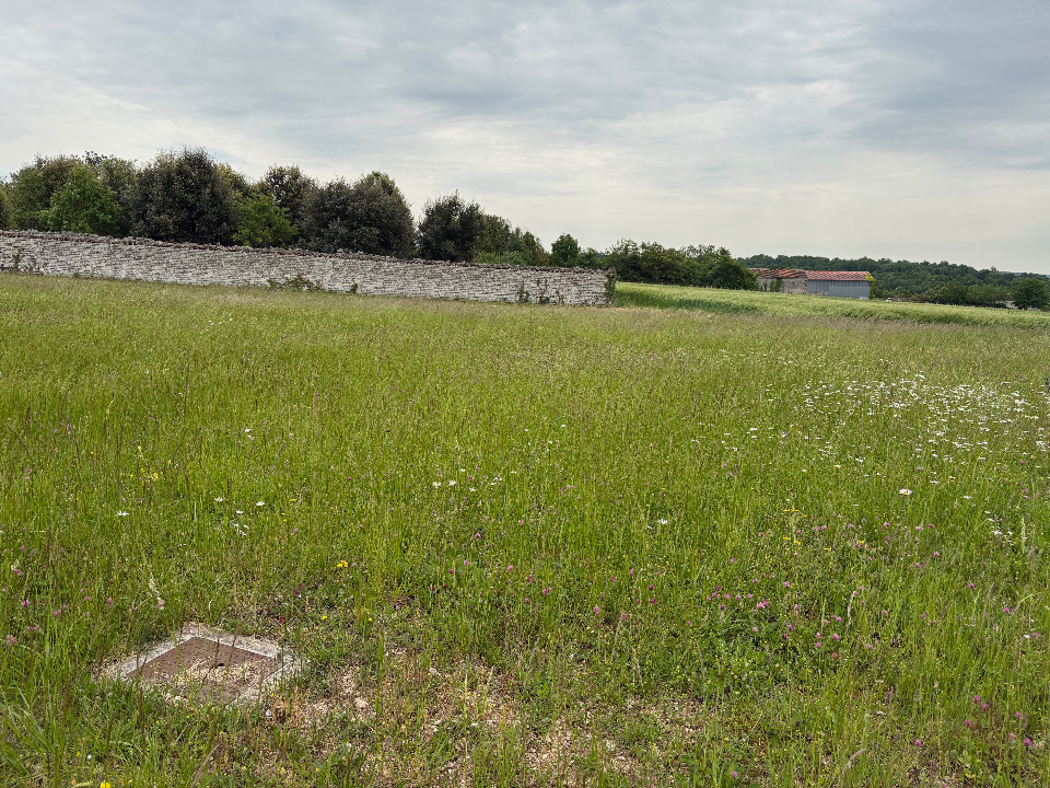 Image du terrain Terrain à bâtir à Cognac (16100)