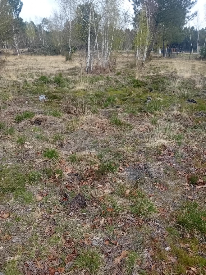 Image du modèle de maison 2155131-11244annonce220250512QZGBA.jpeg