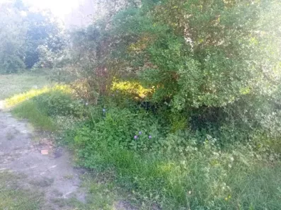 Image du modèle de maison 2157894-11244annonce120250515gL3QW.jpeg