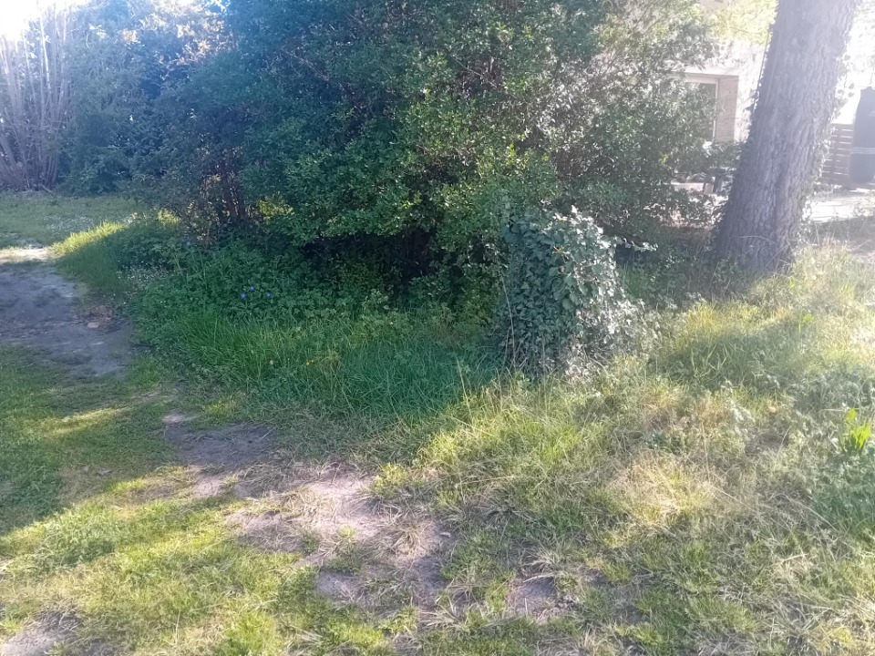 Image du modèle de maison 2157894-11244annonce220250515o3tPp.jpeg