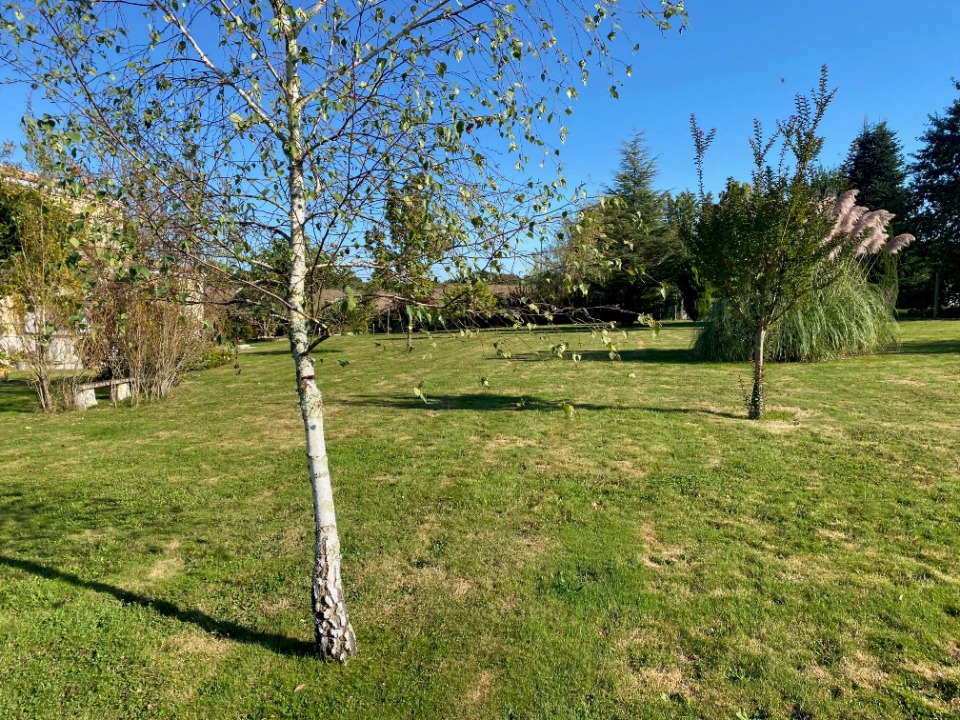 Image du modèle de maison 2157942-10994annonce120250515GNqyr.jpeg