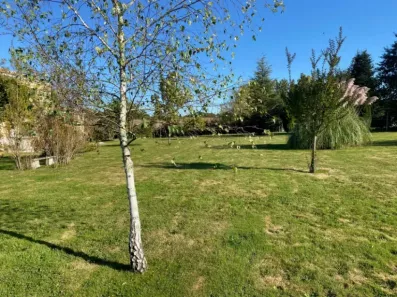 Image du modèle de maison 2157942-10994annonce120250515GNqyr.jpeg