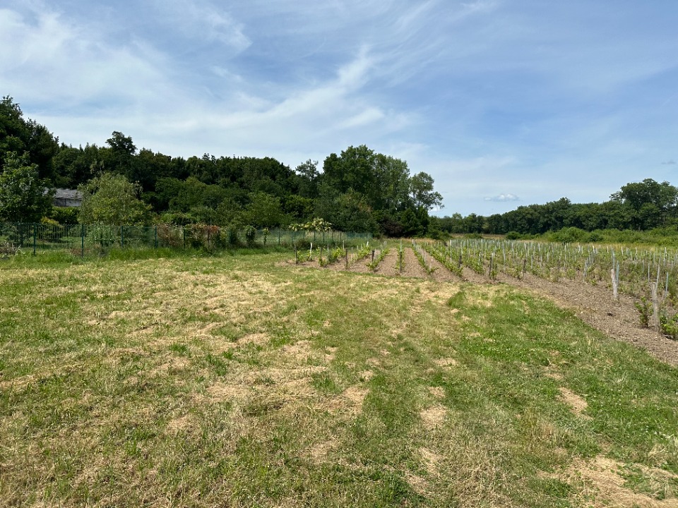 Image du terrain Terrain à bâtir à Portets (33640)