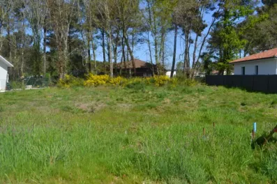 Image du modèle de maison 2159406-10890annonce220250516Zgg0N.jpeg