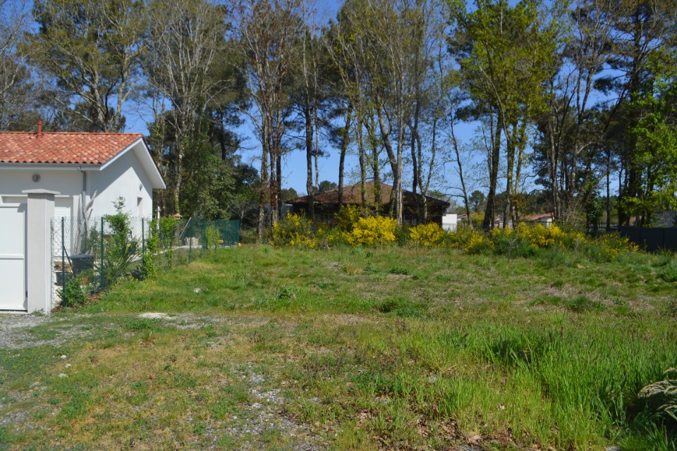 Image du modèle de maison 2159406-10890annonce3202505163gwmI.jpeg