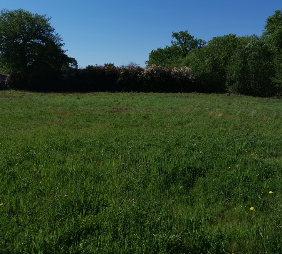 Image du terrain Terrain à bâtir à Périgueux (24000)