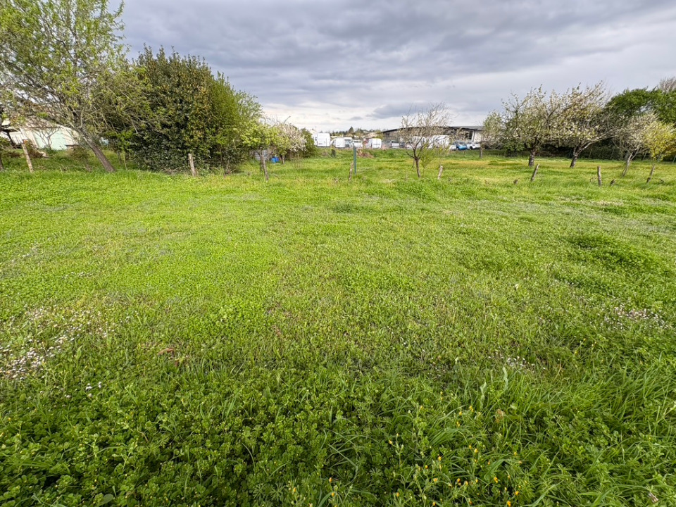 Image du modèle de maison 2160061-11189annonce320250411xAwAh.jpeg