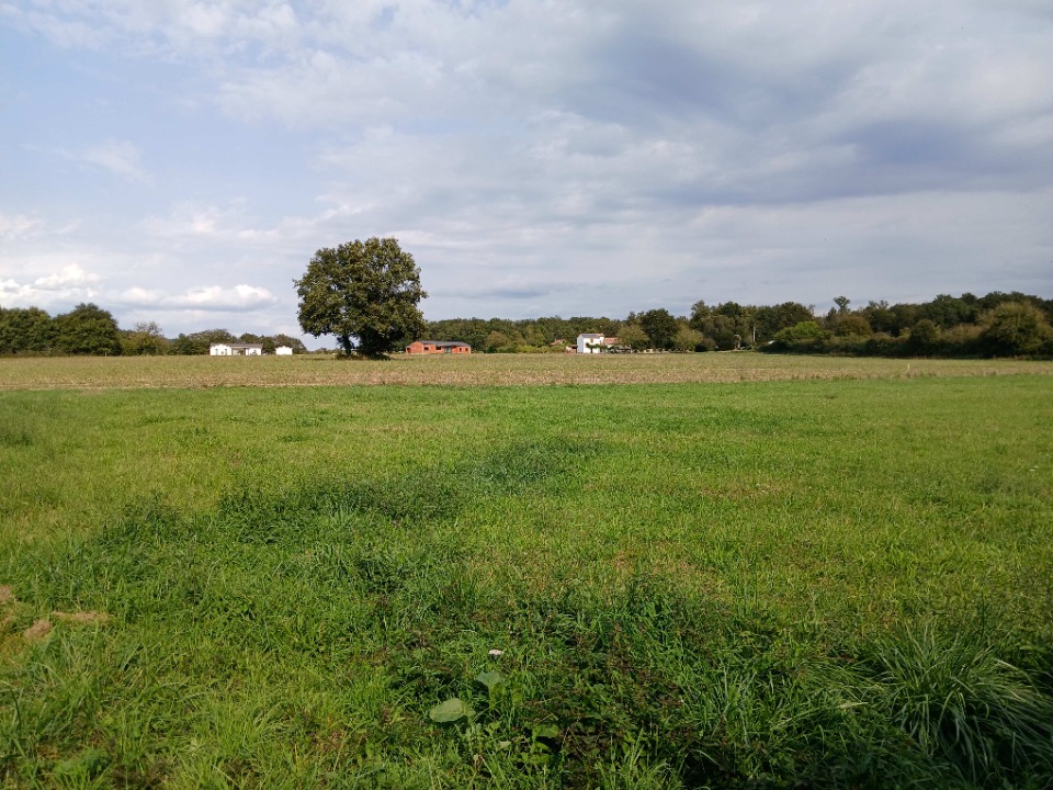 Image du modèle de maison 2160851-9455annonce120250517bZigV.jpeg
