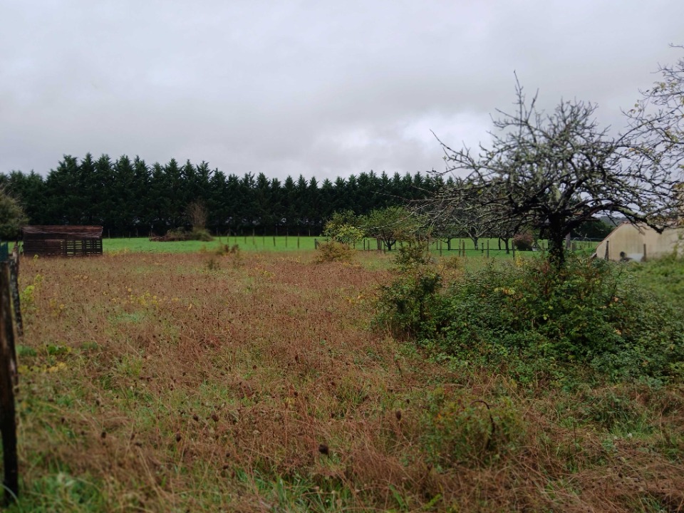Image du terrain Terrain à bâtir à Tocane-Saint-Apre (24350)