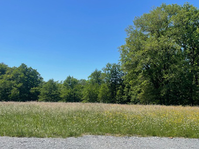 Image du terrain Terrain à bâtir à Boulazac (24750)