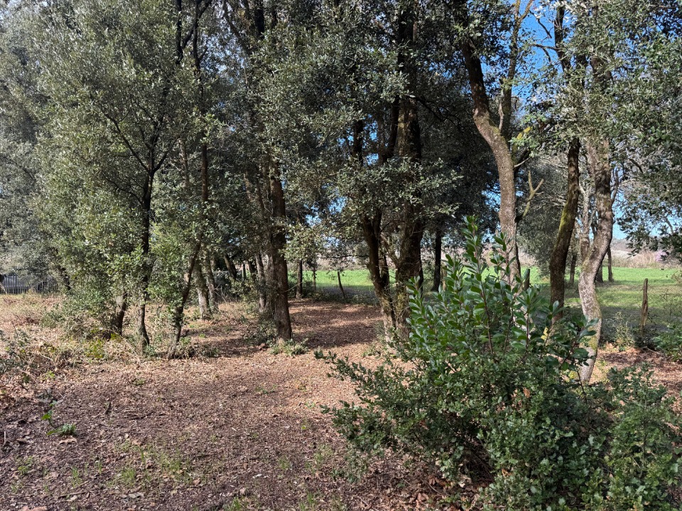 Image du terrain Terrain à bâtir à Le Verdon-sur-Mer (33123)