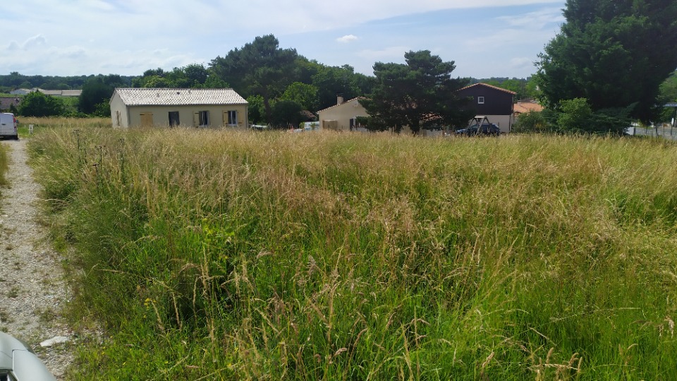 Image du modèle de maison 2164166-11141annonce1202504170nktF.jpeg