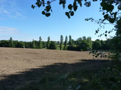 Image du modèle de maison 2165447-11140annonce120250522dBkgi.jpeg