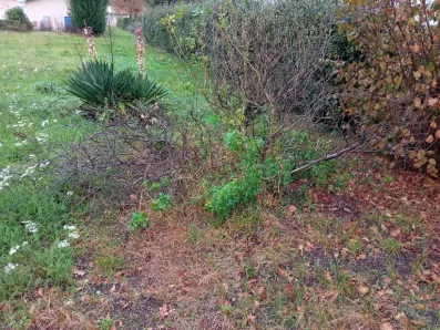 Image du modèle de maison 2170886-1072annonce120250403AzXcx.jpeg