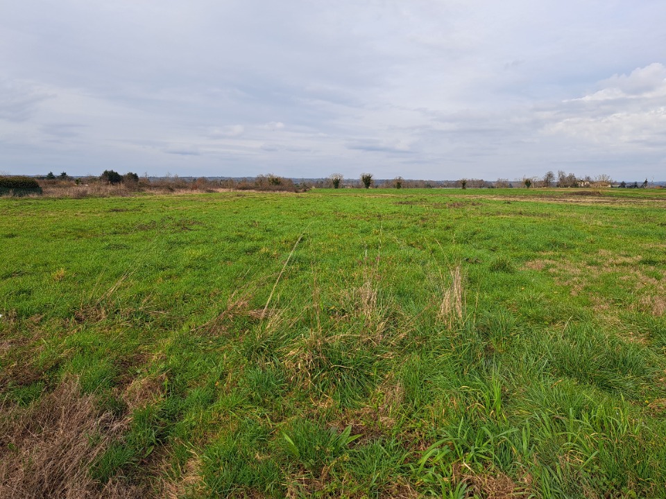 Image du terrain Terrain à bâtir à Bergerac (24100)