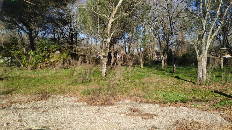 Image du terrain Terrain à bâtir à Noaillan (33730)
