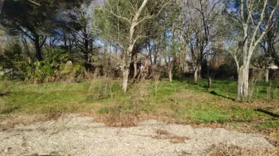Image du modèle de maison 2171380-11141annonce120250527Z7k4J.jpeg