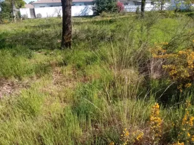 Image du modèle de maison 2174528-11244annonce320250529TuVf8.jpeg