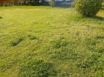 Image du modèle de maison 2174550-11244annonce120250529aDrAn.jpeg