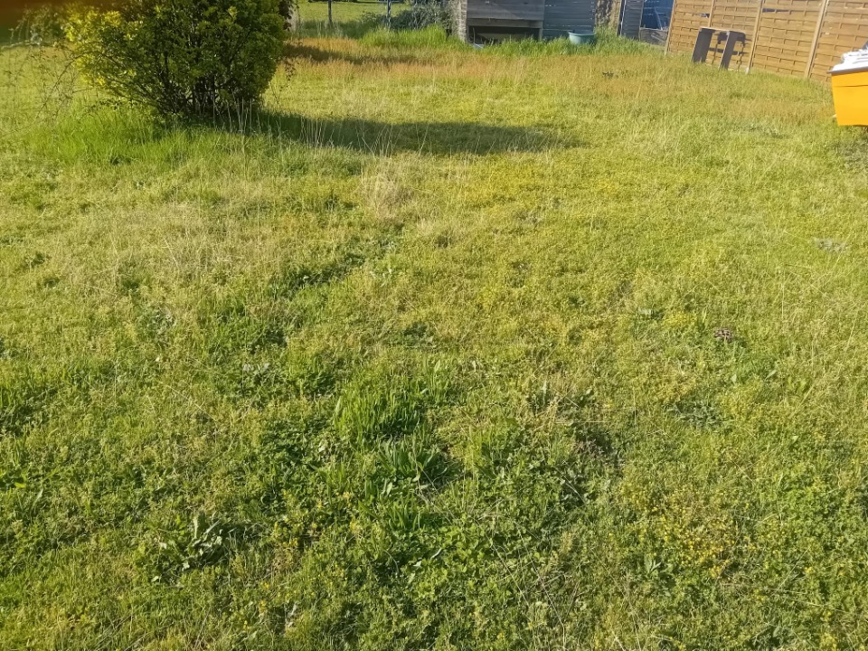 Image du modèle de maison 2174553-11244annonce220250529CpOWV.jpeg