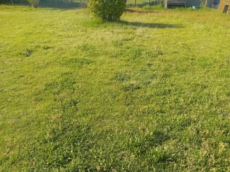 Image du modèle de maison 2174553-11244annonce320250529FbvB5.jpeg