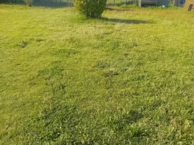 Image du modèle de maison 2174553-11244annonce320250529FbvB5.jpeg