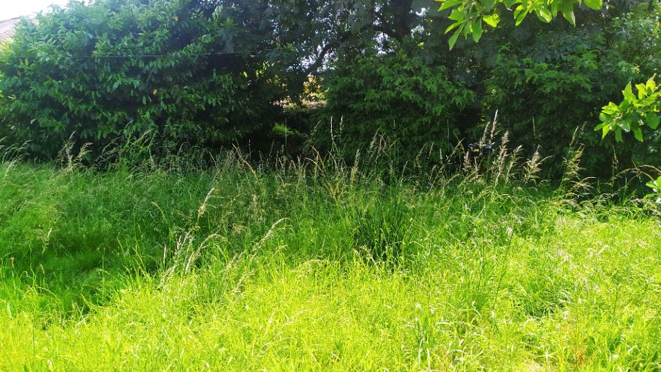 Image du terrain Terrain à bâtir à Saint-Pierre-d'Aurillac (33490)