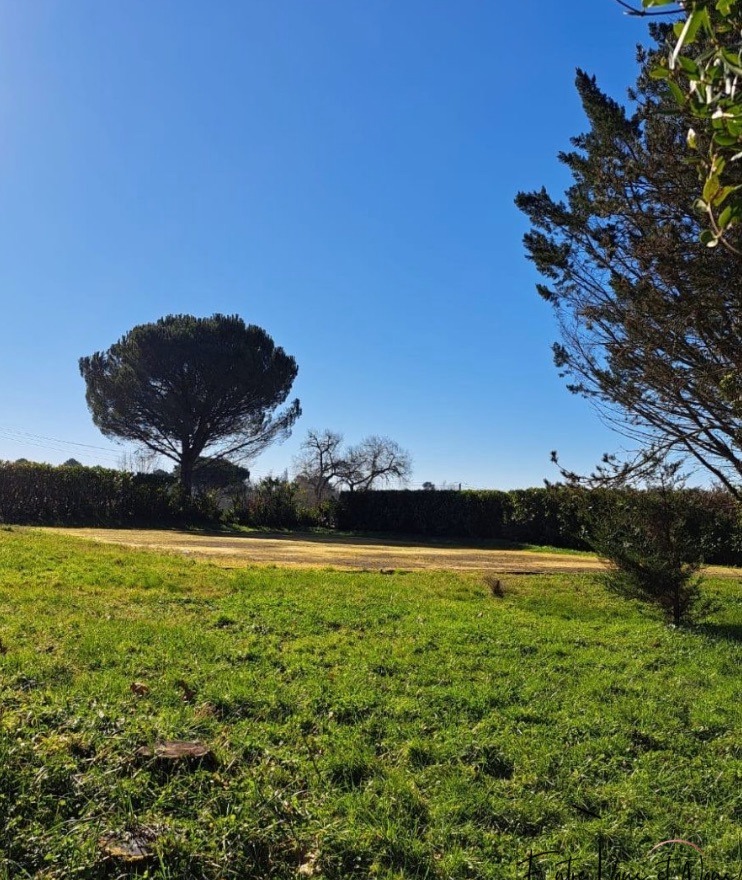 Image du modèle de maison 2178165-10776annonce120250603DFifC.jpeg