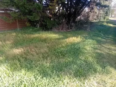 Image du modèle de maison 2180839-11244annonce320250605pe3iG.jpeg