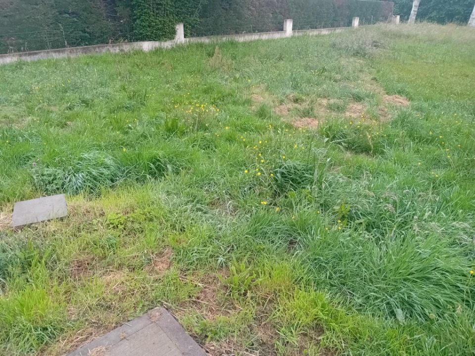 Image du modèle de maison 2181036-11244annonce1202506054y74Z.jpeg