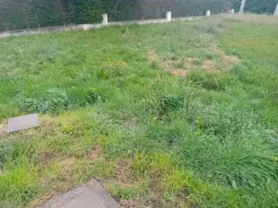 Image du modèle de maison 2181069-11244annonce1202506054y74Z.jpeg