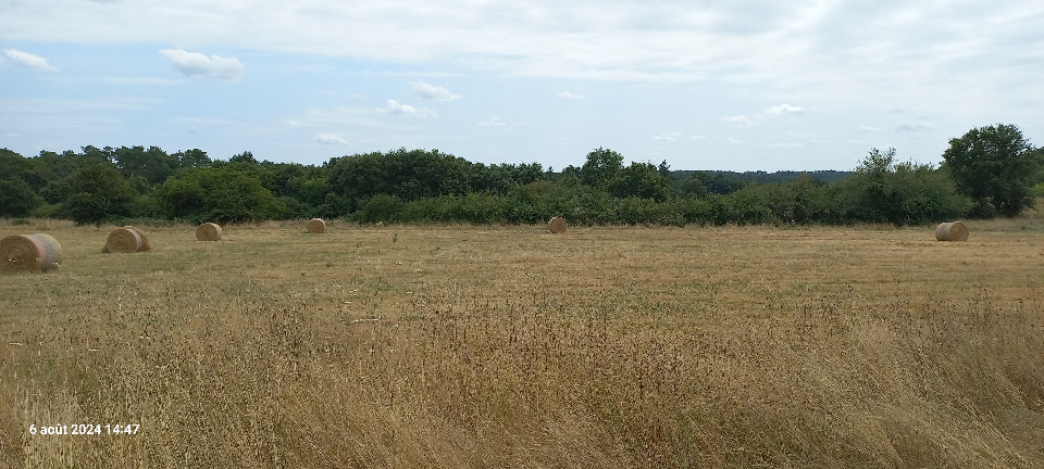 Image du terrain Terrain à bâtir à Eygurande-et-Gardedeuil (24700)