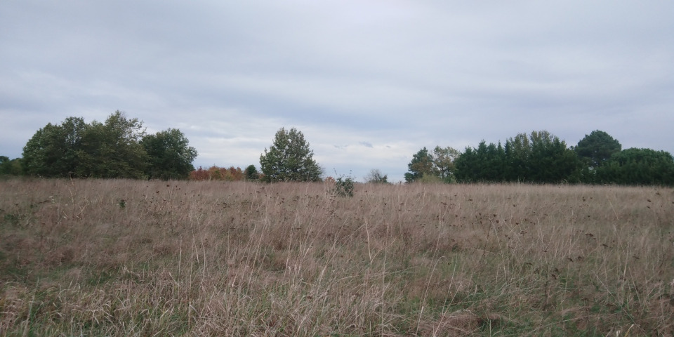 Image du terrain Terrain à bâtir à Saint-Rémy (24700)