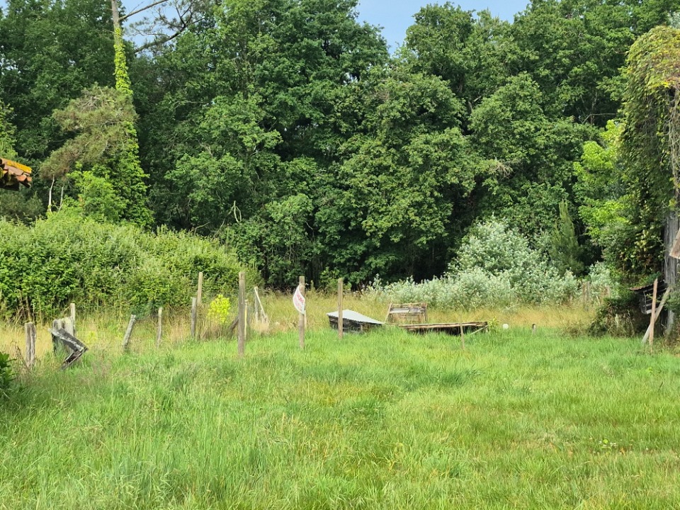 Image du modèle de maison 2182166-10890annonce1202506061XvyO.jpeg