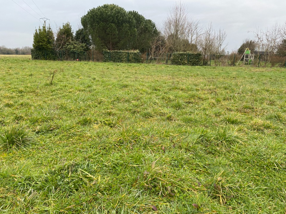 Image du modèle de maison 2182177-11194annonce220250606beWKh.jpeg