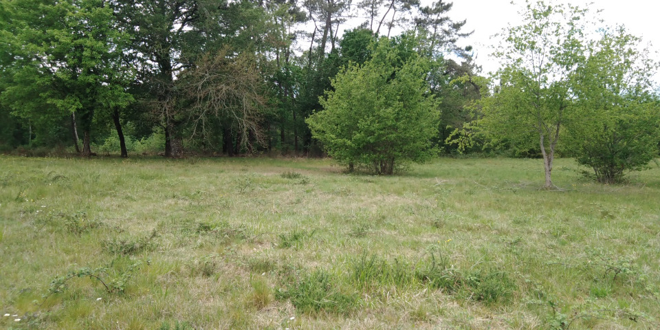 Image du modèle de maison 2182185-5020annonce120250606B9kxK.jpeg